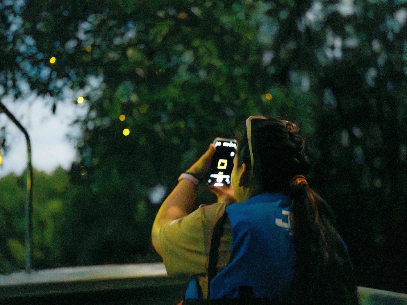 Mangrove Forest Exploratio